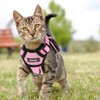 Cat Harness with Lead, Escape Proof Cat Lead Set, Adjustable,