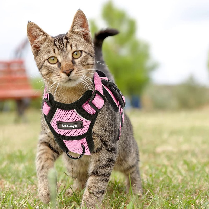 Cat Harness with Lead, Escape Proof Cat Lead Set, Adjustable,