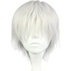 ウィッグ コスチューム用小物 シルバー 白 フリーサイズ