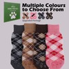 EXPAWLORER Dog Socks to Prevent Licking Paws,4 Pcs Double Sided