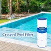 Cryspool Cryspool? 07069 Filter Compatible with Clean & Clear Plus