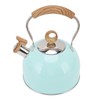 2.5L Whistling Tea Kettle with Handle Stainless Steel Portable Stovetop
