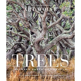Trees (Gift Edition): Between Earth and Heaven