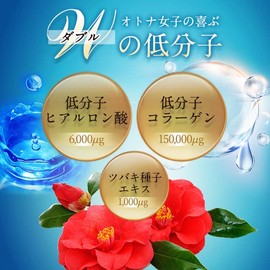 ogaland W Low Molecular Hyaluronic Acid & Collagen (Approx. 6 Month Supply), Skin Care Supplement (Contains Hyaluronic Acid/Collagen), For Those Who Are Essential Serum Dry Beauty Support