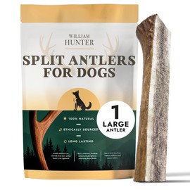 William Hunter Deer Antlers for Dogs - Naturally Shed Antler Chews for Dogs, Long Lasting & Nutritious Antler Dog Chews that Promote Dental Health with No Foul Smell (1 Large Split)