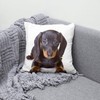 The Beach Stop Decorative Dachshund Dog Scatter Cushion Cover |