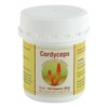 Cordyceps Sinensis Capsules
