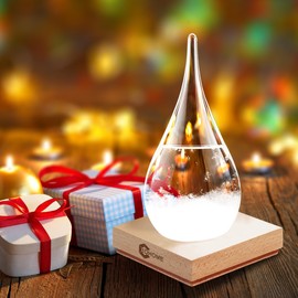 Christmas Gifts Storm Glass Weather Stations Water Drop Weather Predictor Creative Forecast Nordic Style Decorative Weather Glass Weather gifts for Men