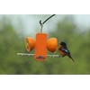 Kettle Moraine Recycled Single Oriole Orange Fruit Stick Feeder