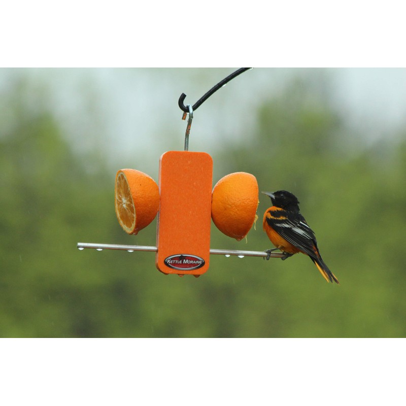 Kettle Moraine Recycled Single Oriole Orange Fruit Stick Feeder