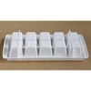 Ice Cube Tray, Large Size, 10