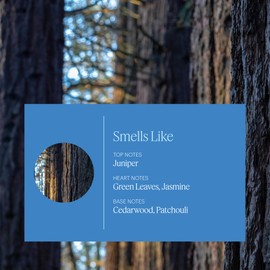 AERA Good Riddance Pet Odor - Essential Oil for Home – Deodorizing Fragrance for Pet Parents - Notes of Cedar Wood, Green Apple and Maritime Pine - Scent Refill - Works with The Diffuser