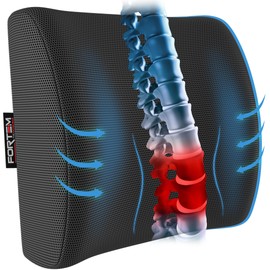 FORTEM Lumbar Support Office Chair, Lumbar Support Pillow for Car, Office Chair Back Support, Lumbar Pillow for Desk Chair, Memory Foam Back Cushion, Washable Cover (Mesh, Dark Grey)