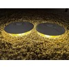 2 Pack Flea Trap Light for Indoor & Outdoor Use,