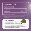 Liposomal Vitamin C | Most Bioavailable Highly-Absorbable Vitamin C for