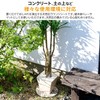 Yamazen STR-23 (BE) Natural Stone Sheet, Sold Separately, Diameter 9.1