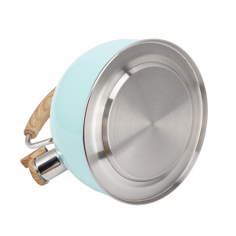 2.5L Whistling Tea Kettle with Handle Stainless Steel Portable Stovetop