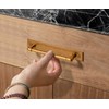 Goo-Ki Cabinet Pulls with Backplate Back Plate Antique Brass, 5"