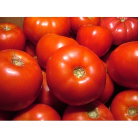 75+ Rutgers Tomato Seeds- Grown in 2020 for 2021
