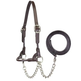 Derby Originals New and Improved Premium Round Rolled Leather Cattle Show Halter with Matching Chain Lead
