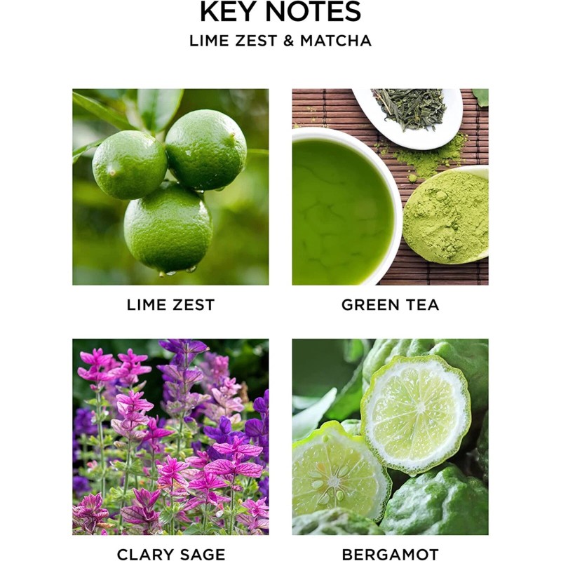 Nest Fragrances Lime Zest And Matcha Classic Candle