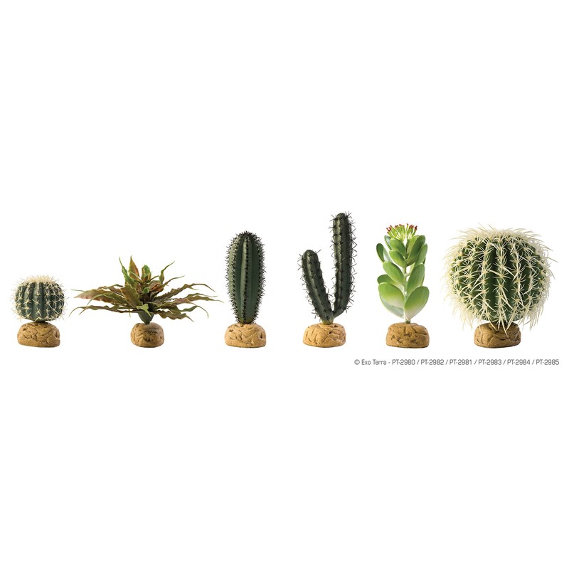 Exo Terra Barrel Cactus Terrarium Plant, Medium