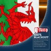 Anley Rip-Proof Double Sided 3-Ply Wales Flag 3x5 Ft Welsh