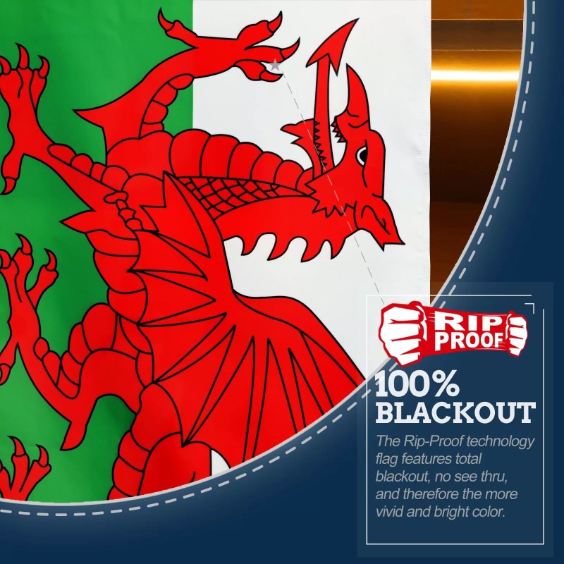 Anley Rip-Proof Double Sided 3-Ply Wales Flag 3x5 Ft Welsh