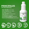 CLOROFILA FRESCA PREMIUM - Suplemento alimenticio con Clorofila.2 frascos con