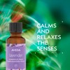 Aveda Lavender Essential Oil + Base | Calming Aroma |