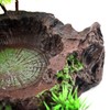 kathson Resin Reptile Bowl Bearded Dragon Food Dish Lizard Water