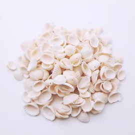 100PCS Shell Beads Cowrie Shells Natural Spiral Sea Beach Cowrie Shell Beads for DIY Craft Jewelry Making