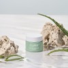 Kim Jung-moon Aloe Cure Realoe Signature Cream 55g / 김정문알로에