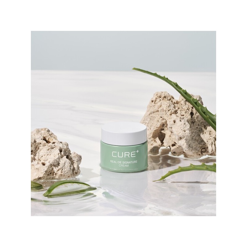 Kim Jung-moon Aloe Cure Realoe Signature Cream 55g / 김정문알로에