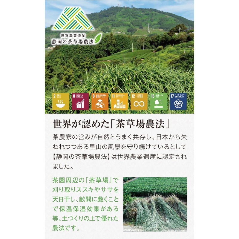 Nakamura Korokuen Chadokokogawa Roasted Tea Bag 0.2 oz (5 g)