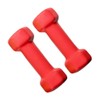 Vinyl Coated Dumbbells (Set of 2) - 0.5kg, Anti-Roll Dumbbell