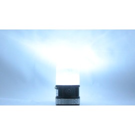 P6LM LED Portable Safety Lights Personal Hazard Light (Clear)