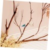 Sosoport Acrylic Wood Bird Feeder Nest Outdoor Wild Bird Feeder