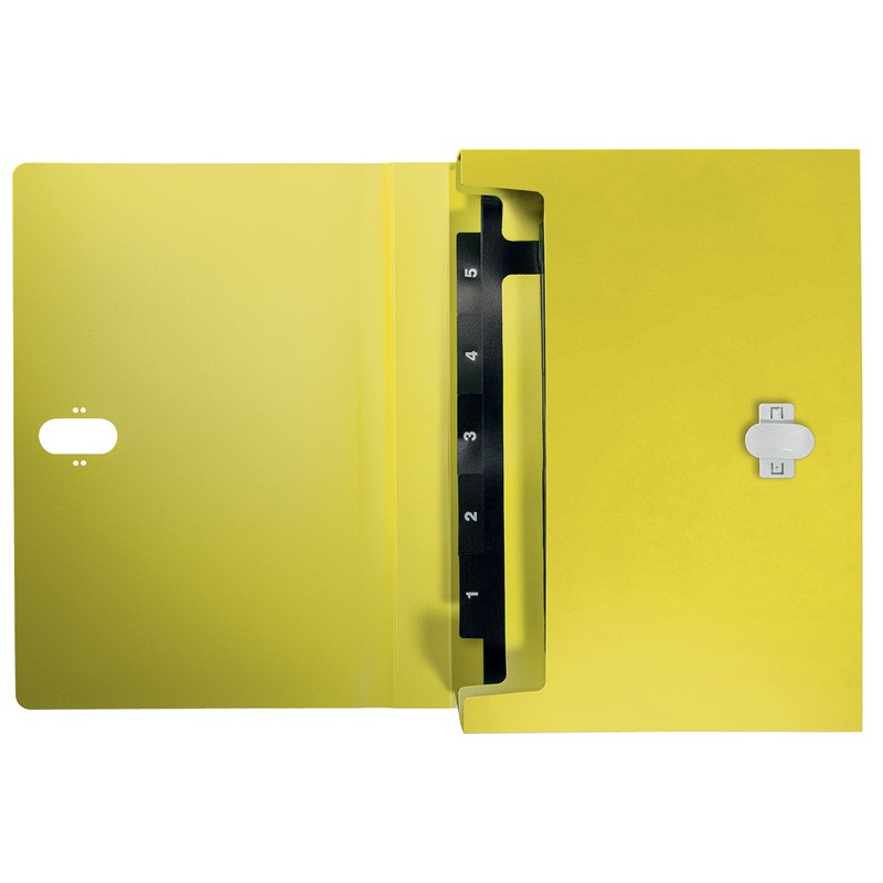 Leitz Recycle 46240015 A4 Project Folder, Pack of 5, for