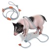 Pig Harness & Leash, Escape Prevention Adjustable Rope, All in