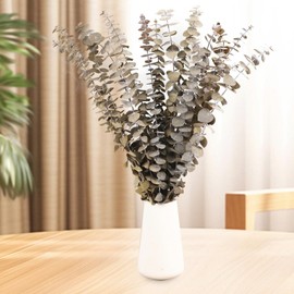 16 Pcs Dried Eucalyptus Stems, 17'' Natural Fresh Eucalyptus Leaves Branches Hanging for Shower, Preserved Real Eucalyptus Plant Live for Home SPA Wall Bathroom Wedding Party Vase Decor