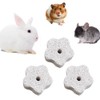 HUSABEJAIN 10 PCS Hamster Teeth Grinding Lava Block Rabbits Lava