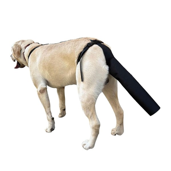 Laroal Adjustable Dog Tail Protector for Treating Injury and Hair