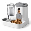 Automatic Cat Feeder and Water Dispenser for Daily Feeding –