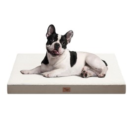 Tail Stories Medium Dog Bed for Medium/Small Dogs, Orthopedic Dog Beds with Removable Washable Waterproof Cover, Egg Crate Foam Pet Bed Mat, Khaki White