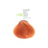 MM Beauty Permanent Hair Colour MM Beauty Phyto & Colour