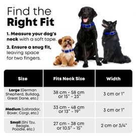 Regal Dog Products Large Blue Waterproof Dog Collar and Leash Set | Heavy Duty Double Buckle & D Ring - 5'ft Leash | Adjustable Biothane Dog Collar | Chew Resistant Waterproof Collar for Dogs