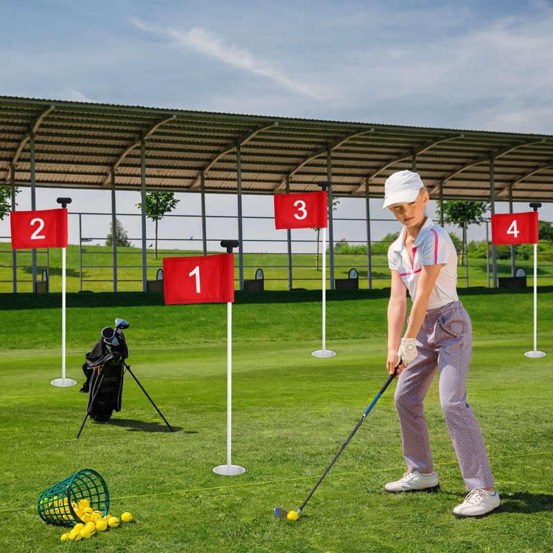 Riakrum 9 Pcs mini golf flags for yard 8.9 x