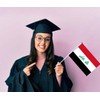 25 PCS Iraq Handheld Small Flag, Iraqi Hand held Mini