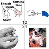 Pretty Claws 60 Piece Soft Nail Caps with Adhesive for